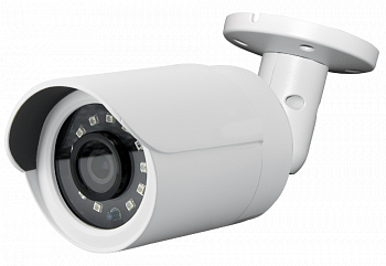 AKSILIUM Камера Danale IP-803 FPM (2.8) 2D SD объектив 2,8 мм, 100°, подсветка до 30 м (18 SMD